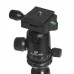 Штатив Raylab Pro 70 черный, BT-5300004