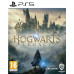 Игра Hogwarts Legacy (PS5), BT-5401265