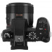 Компактная камера Panasonic Lumix FZ1000 II черный, BT-5401829