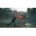 Игра Days Gone (PS4), BT-5403349