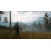 Игра Days Gone (PS4), BT-5403349