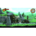 Игра Curse of the Sea Rats (PS5), BT-5412669