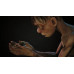 Игра The Lord of the Rings: Gollum (PS5), BT-5420064