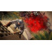 Игра Assassin's Creed Mirage Launch Edition (PS5), BT-5436446