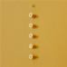 Вытяжка пристенная Akpo WK-4 Terra eco 40 золотистый, BT-9008326