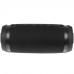 Портативная колонка Fiero Vortex L, черный, BT-1396813