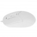 Мышь проводная A4Tech Fstyler FM12 белый, BT-4825110