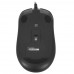 Мышь проводная A4Tech Fstyler FM12S черный, BT-4825118
