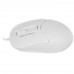 Мышь проводная A4Tech Fstyler FM12S белый, BT-4825123