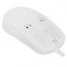Мышь проводная Xtrfy MZ1 [MZ1-RGB-WHITE-TP] белый, BT-5006491