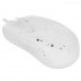 Мышь проводная Xtrfy MZ1 [MZ1-RGB-WHITE-TP] белый, BT-5006491