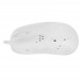 Мышь проводная Xtrfy MZ1 [MZ1-RGB-WHITE-TP] белый, BT-5006491