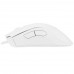 Мышь проводная Razer DeathAdder Essential [RZ01-03850200-R3M1] белый, BT-5078590