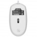 Мышь проводная DEXP CM-M529WT Silent белый, BT-5097694