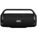 Портативная аудиосистема Aceline P550, черный, BT-5401565