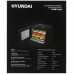 Сушилка для овощей и фруктов Hyundai HYFD-1204 черный, BT-5362342