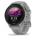Спортивные часы Garmin Forerunner 255S, BT-5407837