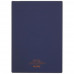 10.3" Электронная книга ONYX BOOX Note 4 синий + чехол, BT-9933009