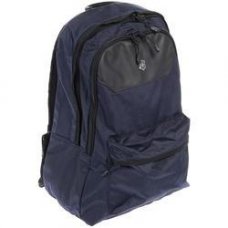 Рюкзак VICTORINOX Altmont Original Standard Backpack синий