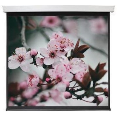 112" (284 см) Экран для проектора Digis Electra-F DSEF-1106, BT-1626381