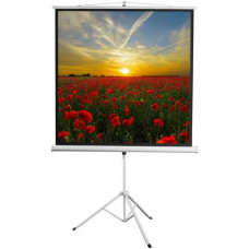 84" (213 см) Экран для проектора Digis Kontur-D DSKD-1103